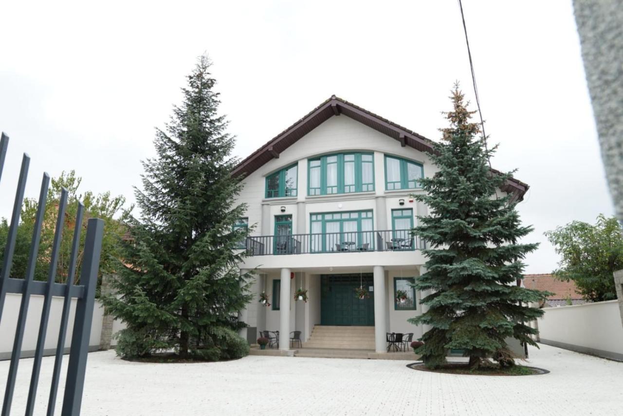 Green Villa Sibiu Bagian luar foto